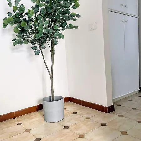 Lucy's Naxos 50 Meters From The Sea